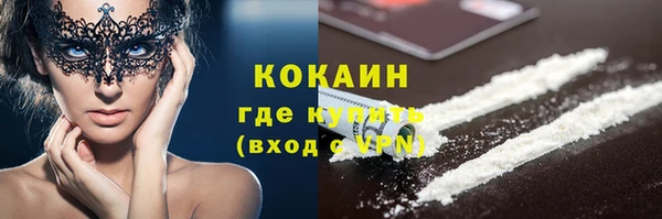 шишки Бородино