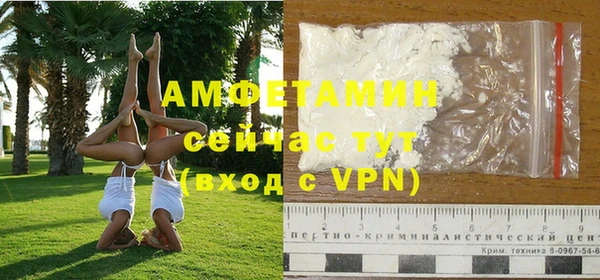 шишки Бородино