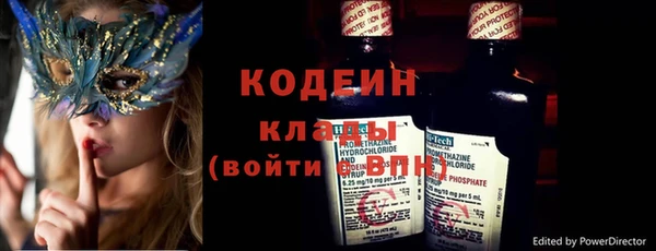 шишки Бородино