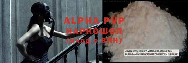 шишки Бородино