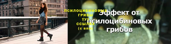 крисы Верея