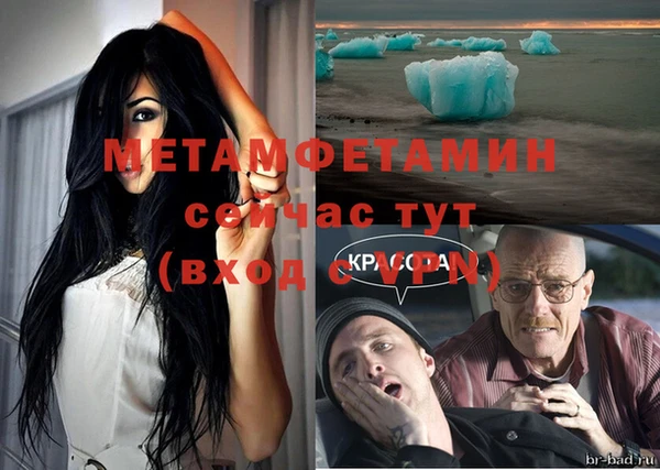 шишки Бородино