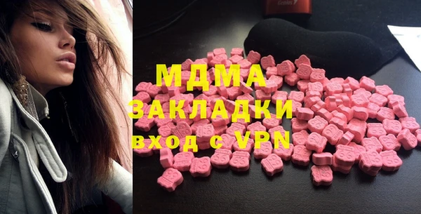 шишки Бородино