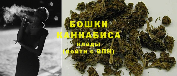 шишки Бородино