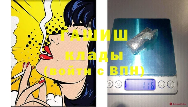 шишки Бородино