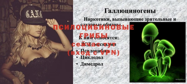 шишки Бородино