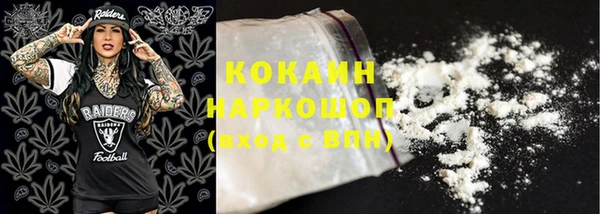 шишки Бородино