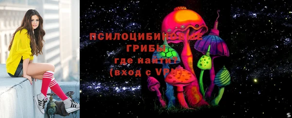 шишки Бородино